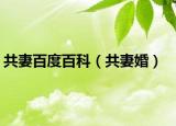 共妻百度百科（共妻婚）