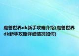 魔兽世界dk新手攻略介绍(魔兽世界dk新手攻略详细情况如何)
