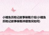 小鲤鱼历险记故事梗概介绍(小鲤鱼历险记故事梗概详细情况如何)