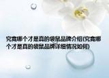 究竟哪个才是真的袋鼠品牌介绍(究竟哪个才是真的袋鼠品牌详细情况如何)