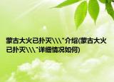 蒙古大火已扑灭\