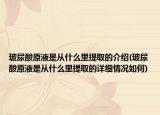 玻尿酸原液是从什么里提取的介绍(玻尿酸原液是从什么里提取的详细情况如何)