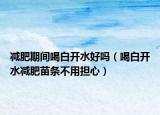 减肥期间喝白开水好吗（喝白开水减肥苗条不用担心）