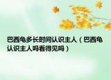 巴西龟多长时间认识主人（巴西龟认识主人吗看得见吗）