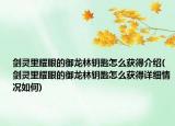 剑灵里耀眼的御龙林钥匙怎么获得介绍(剑灵里耀眼的御龙林钥匙怎么获得详细情况如何)