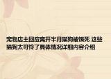 宠物店主回应离开半月猫狗被饿死 这些猫狗太可怜了具体情况详细内容介绍