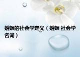 婚姻的社会学定义（婚姻 社会学名词）