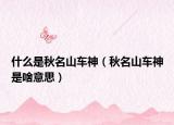 什么是秋名山车神（秋名山车神是啥意思）