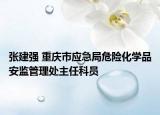 张建强 重庆市应急局危险化学品安监管理处主任科员