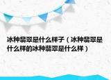 冰种翡翠是什么样子（冰种翡翠是什么样的冰种翡翠是什么样）