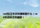 cad标注半径快捷键是什么（cad半径标注快捷键）