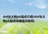 dnf女大枪pk加点介绍(dnf女大枪pk加点详细情况如何)