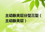 主动脉夹层分型三型（主动脉夹层）
