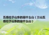 五岳位于山东的是什么山（三山五岳位于山东的是什么山）