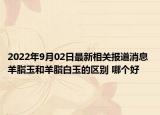 2022年9月02日最新相关报道消息 羊脂玉和羊脂白玉的区别 哪个好