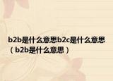b2b是什么意思b2c是什么意思（b2b是什么意思）