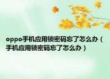 oppo手机应用锁密码忘了怎么办（手机应用锁密码忘了怎么办）