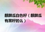 麒麟瓜白色籽（麒麟瓜有黑籽的么）