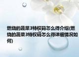 燃烧的蔬菜3特权码怎么得介绍(燃烧的蔬菜3特权码怎么得详细情况如何)