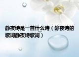 静夜诗是一首什么诗（静夜诗的歌词静夜诗歌词）