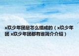 x玖少年团是怎么组成的（x玖少年团 x玖少年团都有谁简介介绍）