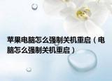 苹果电脑怎么强制关机重启（电脑怎么强制关机重启）