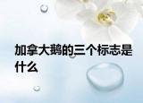 加拿大鹅的三个标志是什么
