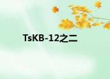 TsKB-12之二