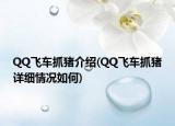 QQ飞车抓猪介绍(QQ飞车抓猪详细情况如何)