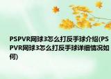 PSPVR网球3怎么打反手球介绍(PSPVR网球3怎么打反手球详细情况如何)