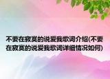 不要在寂寞的说爱我歌词介绍(不要在寂寞的说爱我歌词详细情况如何)