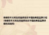 有哪些不太知名但是质量还不错的男装品牌介绍(有哪些不太知名但是质量还不错的男装品牌详细情况如何)