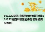 501222是四川哪里的身份证介绍(501222是四川哪里的身份证详细情况如何)