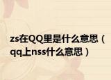 zs在QQ里是什么意思（qq上nss什么意思）