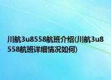 川航3u8558航班介绍(川航3u8558航班详细情况如何)