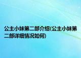 公主小妹第二部介绍(公主小妹第二部详细情况如何)