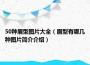 50种眉型图片大全（眉型有哪几种图片简介介绍）