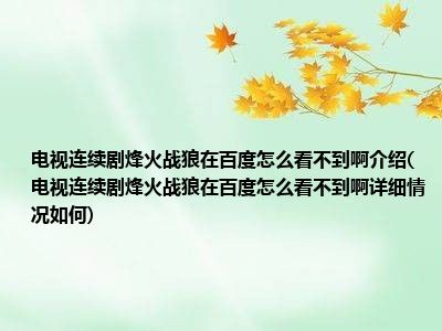 电视连续剧烽火看不到在百度详细情况介绍