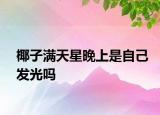 椰子满天星晚上是自己发光吗