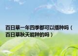 百日草一年四季都可以播种吗（百日草秋天能种的吗）