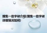 搜集一些字谜介绍(搜集一些字谜详细情况如何)