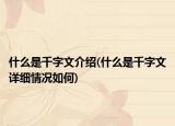 什么是千字文介绍(什么是千字文详细情况如何)