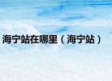 海宁站在哪里（海宁站）