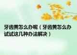 牙齿黄怎么办呢（牙齿黄怎么办 试试这几种办法解决）