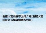 合肥大富山庄怎么样介绍(合肥大富山庄怎么样详细情况如何)