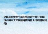 足球小将中大空翼的绝招叫什么介绍(足球小将中大空翼的绝招叫什么详细情况如何)