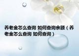 养老金怎么查询 如何查询余额（养老金怎么查询 如何查询）