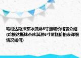 哈根达斯抹茶冰淇淋6寸蛋糕价格表介绍(哈根达斯抹茶冰淇淋6寸蛋糕价格表详细情况如何)