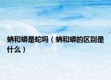 蚺和蟒是蛇吗（蚺和蟒的区别是什么）