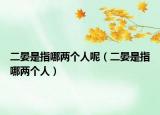 二晏是指哪两个人呢（二晏是指哪两个人）